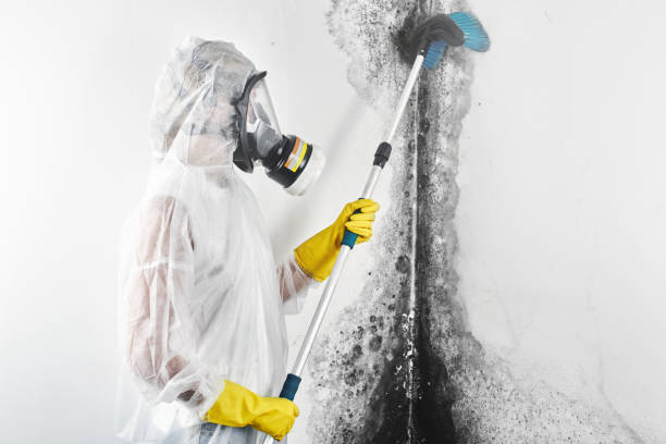 Best Post-Remediation Verification Testing  in Fairview, GA