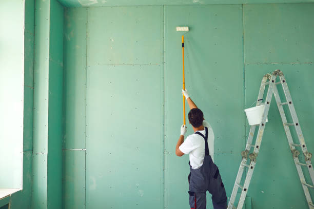 Trusted Fairview, GA Mold Removal Experts