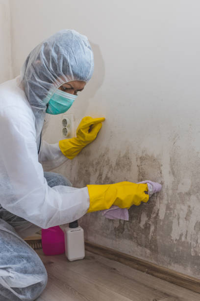 Best Biohazard Mold Removal  in Fairview, GA