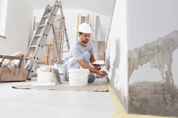 Best Mold Damage Restoration  in Fairview, GA