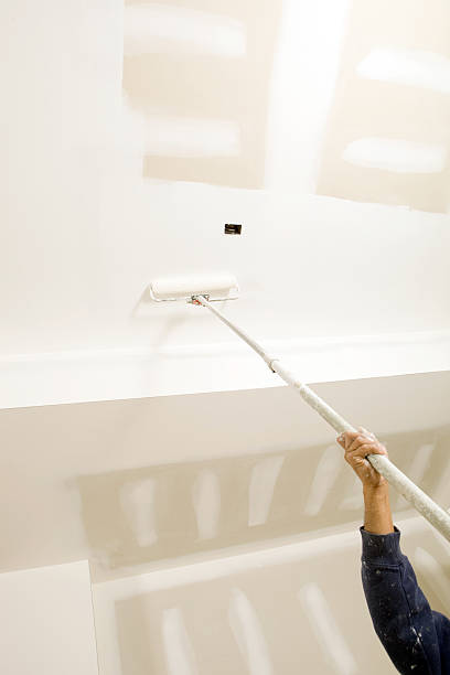 Best Basement Mold Removal  in Fairview, GA