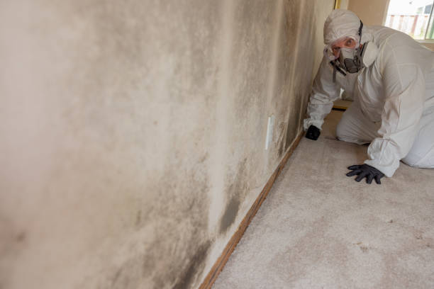 Best Crawl Space Mold Remediation  in Fairview, GA
